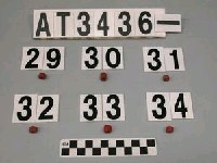 藏品(琉璃珠)的圖片